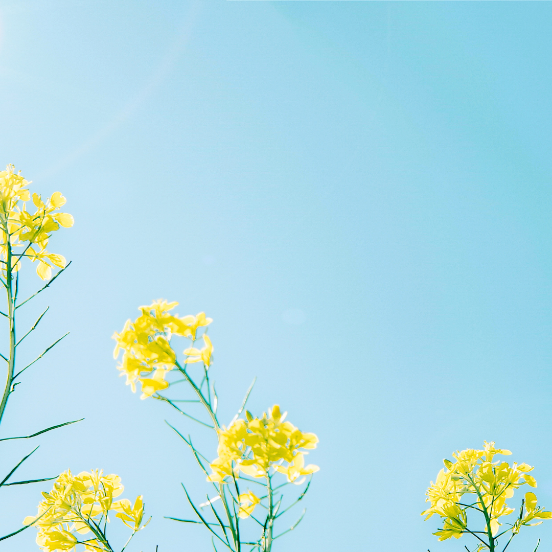 The Benefits of Meditation for Focus & Concentration