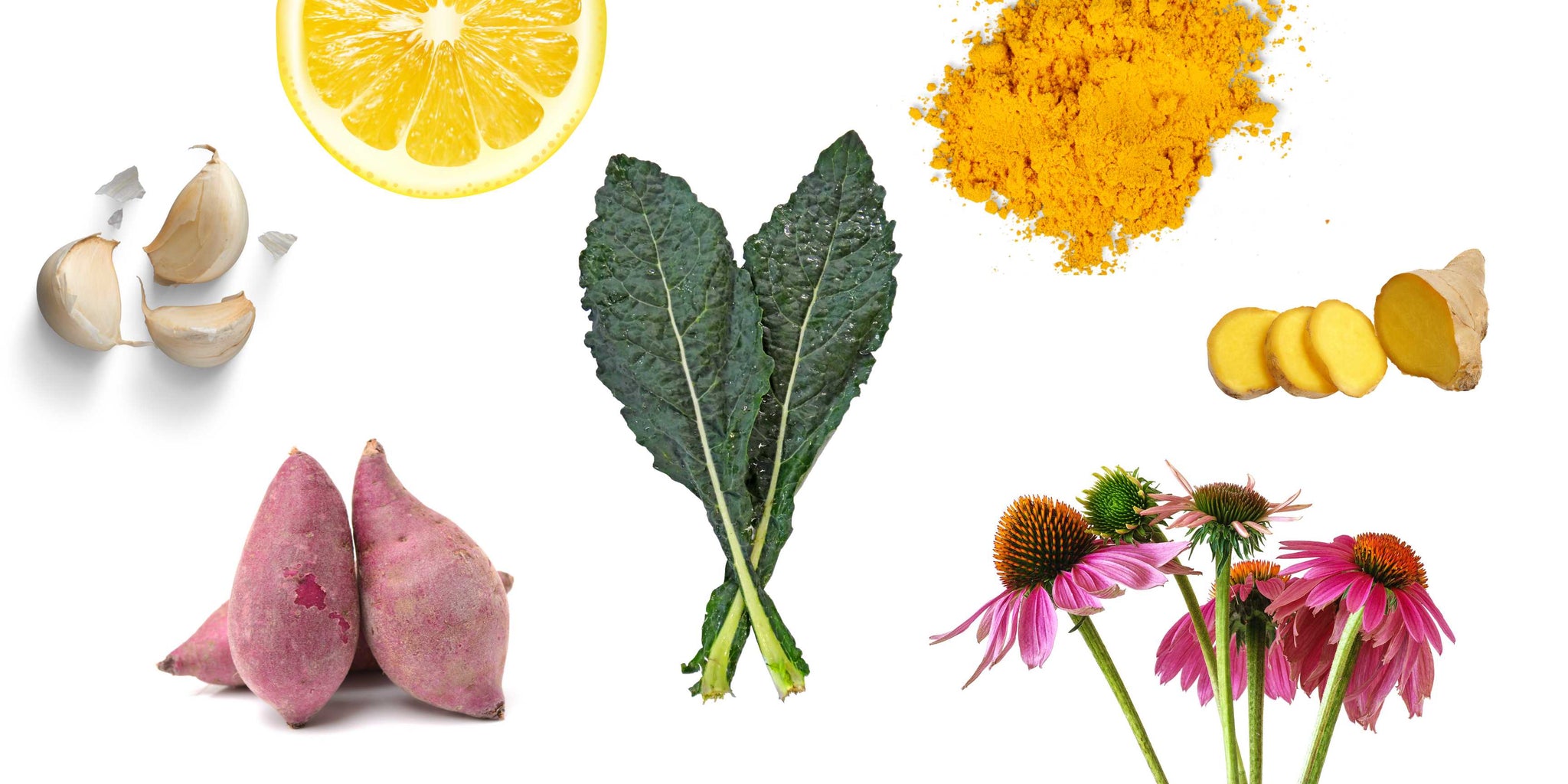 Ten Foods that Boost the Immune System