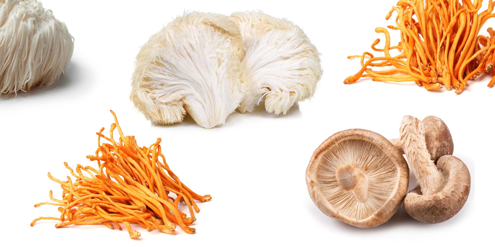 The Magic of Medicinal Mushrooms: 10 Facts