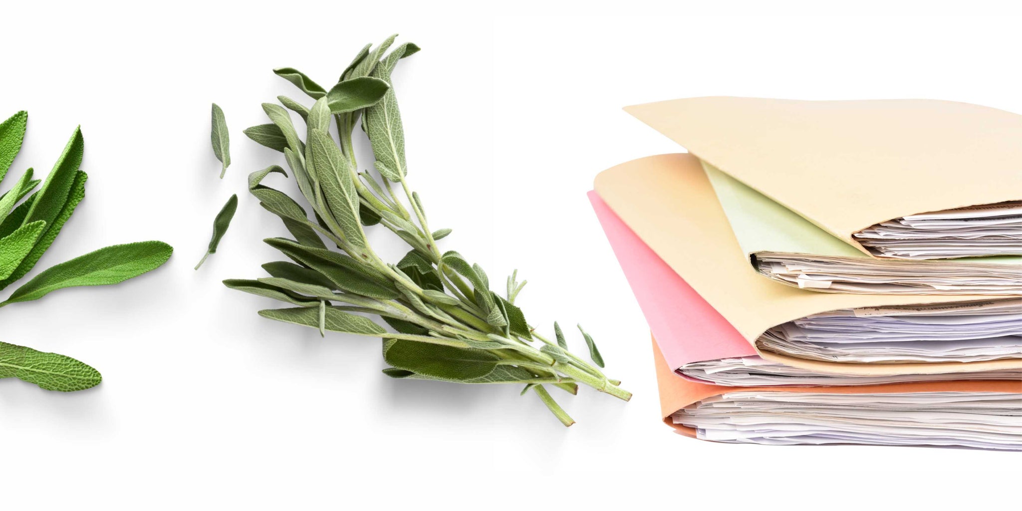 The Benefits of Sage for Mental Clarity