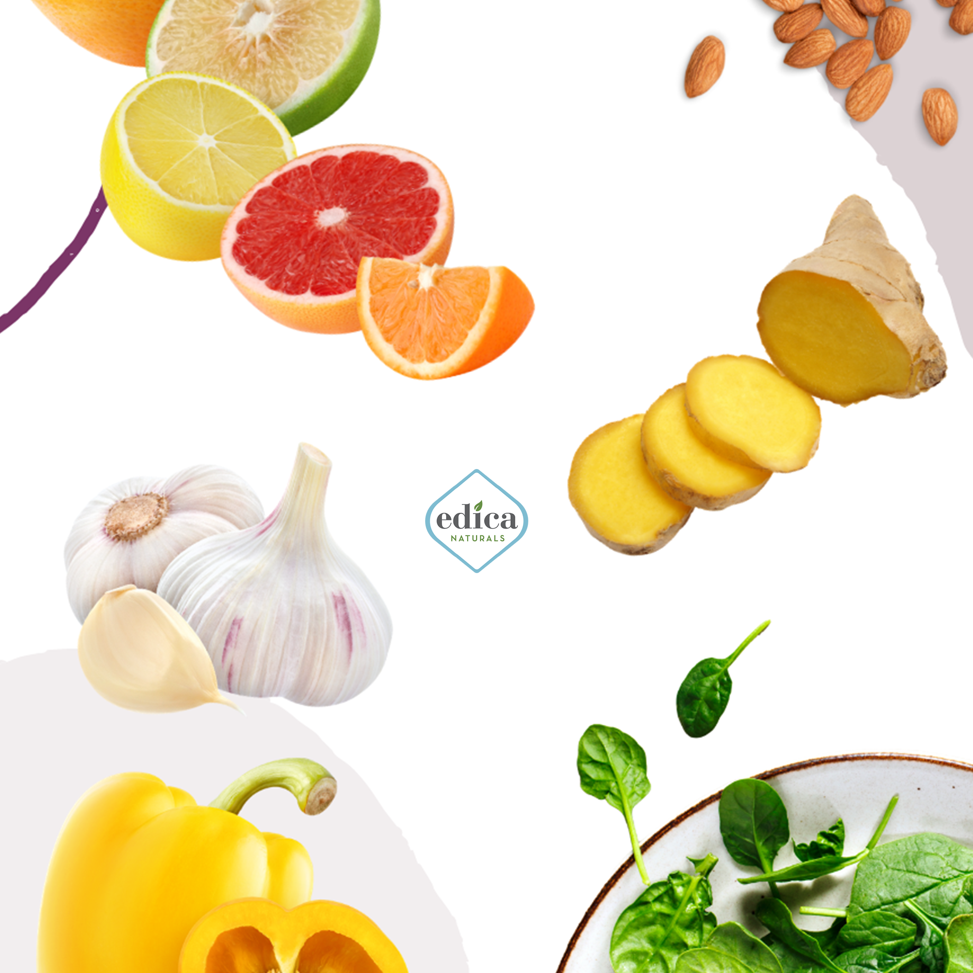Top 10 Immune Boosting Foods!
