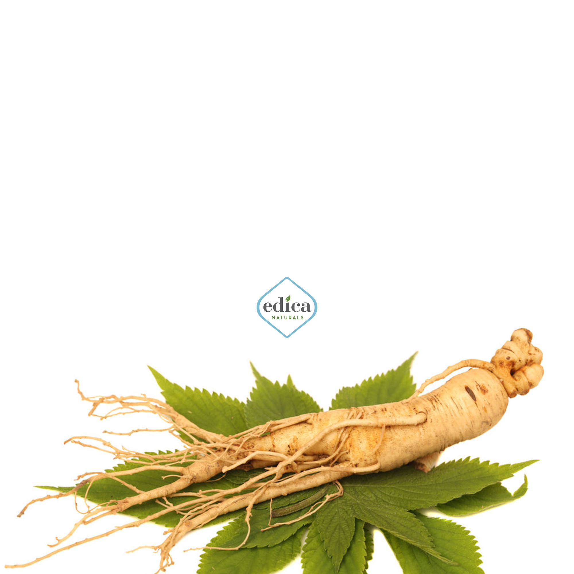 Ginseng for focus