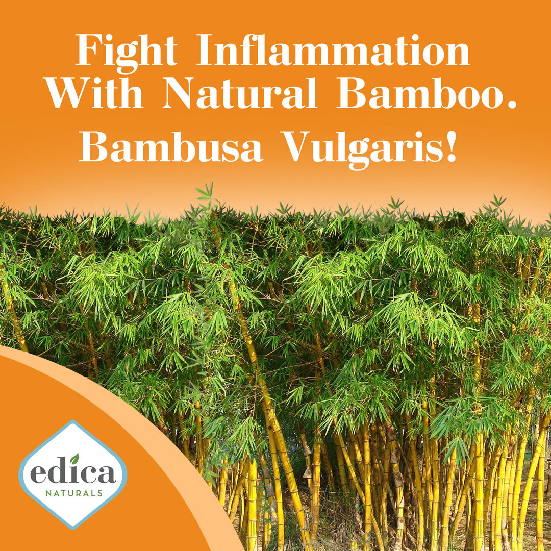 Bamboo Fight Inflammation