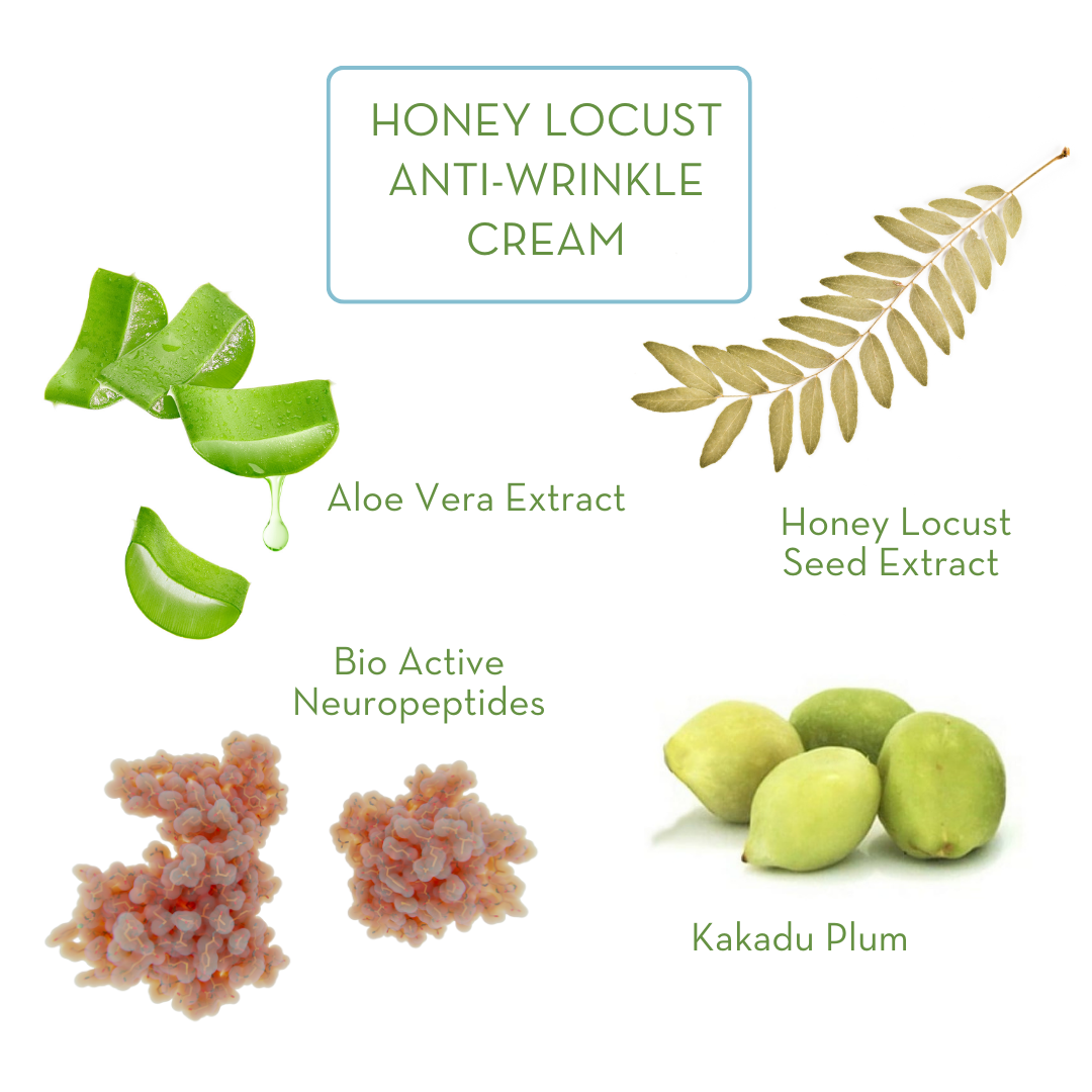 Honey Locust Anti-Wrinkle Cream